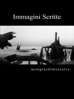 cover image of Immagini Scritte
